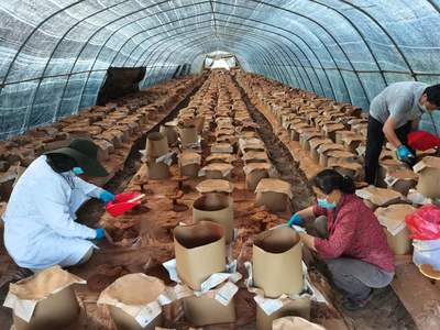 喜迎二十大 電子產品銷售行業的新機遇與未來展望