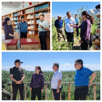 內蒙古自治區林業科學研究院黨委書記王莉英一行赴新疆維吾爾自治區考察學習林業產品銷售