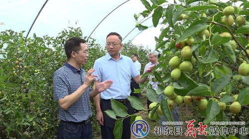 市林業局深入我縣開展林業工作調研 聚焦產業發展，助力林產品銷售升級