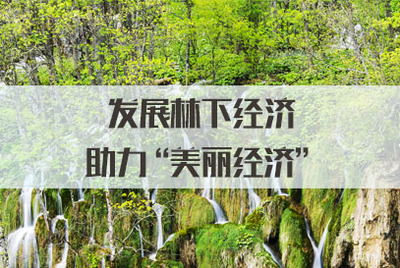 發展林下經濟，拓展銷售渠道，讓‘美麗經濟’更富生機